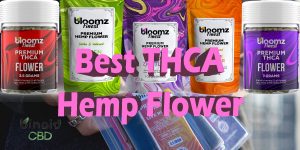 Crafting Superiority: Unveiling the Best THCA Hemp Flower Picks